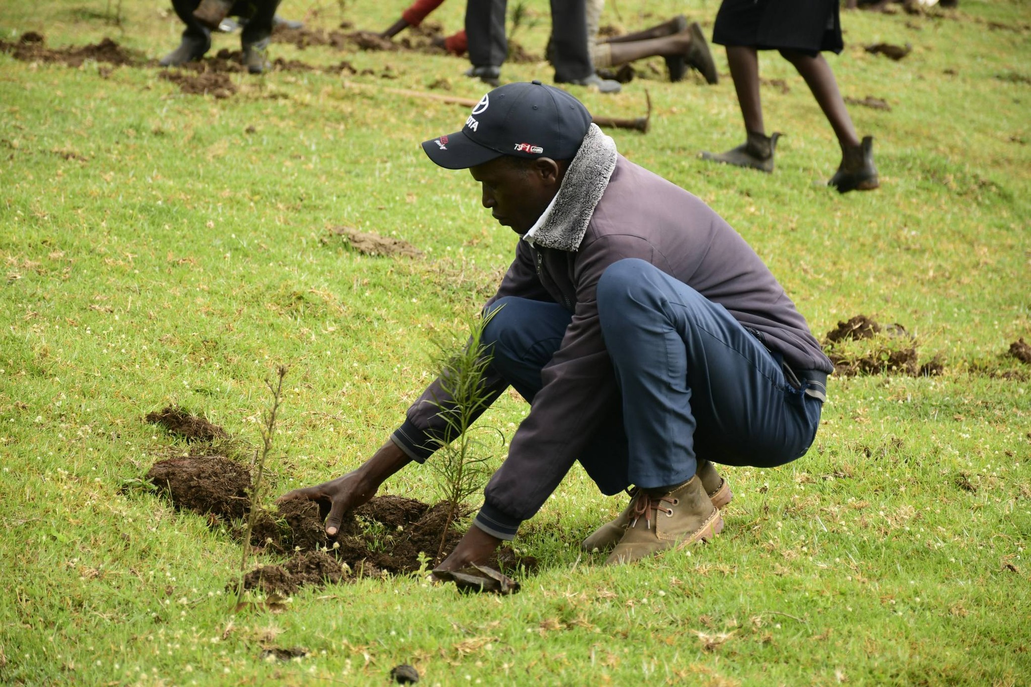 ICT Cabinet Secretary Spearheads the planting of 20,000 tree seedlings in Nandi County