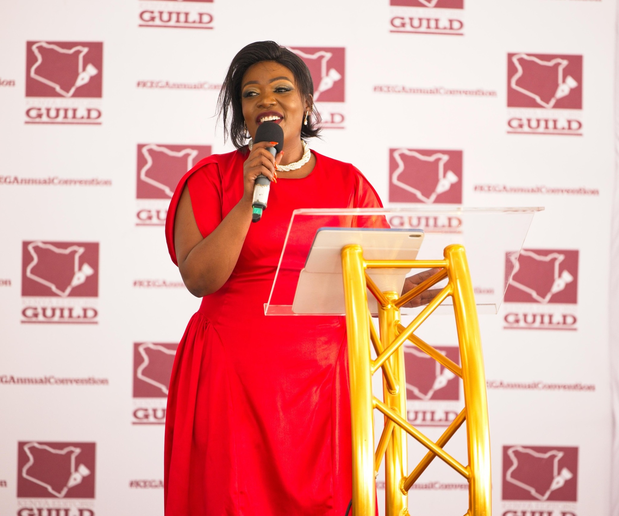The media sector plays a key role in informing national dialogue, promoting cohesion, and strengthening democracy.