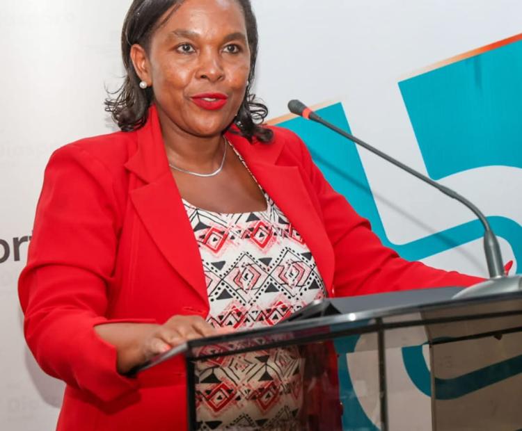 Diaspora plays a vital role in the digital space