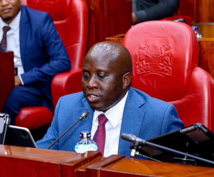 PS Eng. John Tanui Presents Supplementary Budget Estimates to National Assembly Committee