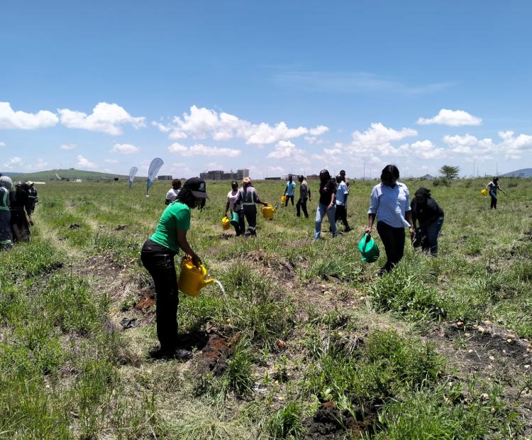 State Department Joins National Tree Planting Campaign