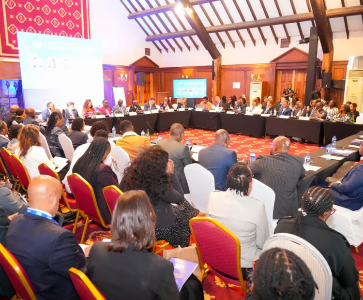 Advancing Kenya's Digital Transformation through America's Technology: Strategic Partnership and Local Capability