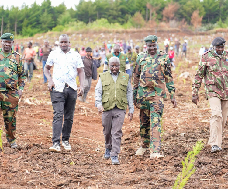 ICT PS Spearheads the planting of 10, 000 Tree Seedlings in Baringo County 